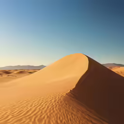 two people are on a large sand dune