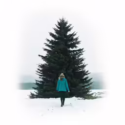 a person walking through the snow next to a tree