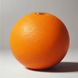 a single orange sits upright on a table