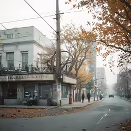a city street on an autumn day in the fall