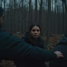 the conjuring movie poster with the girl staring in the forest