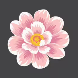 the stylized design is a single flower on the black background,pink and white flower on a black background