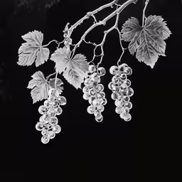 a branch with several grapes hanging from it