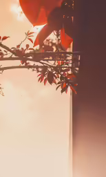 a vase with leaves holding an umbrella, and sun shining through the window