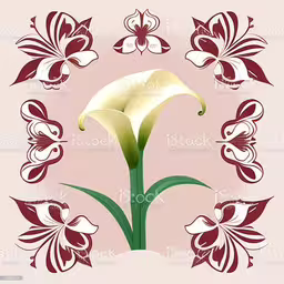 an image of a white flower with flowers and leaves royalty