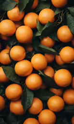 an orange tree with green leaves and a brown bunch