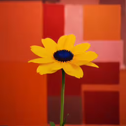 a yellow and blue flower stands in front of a colored backdrop,an image of a flower with a blurry background