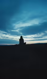 a person sitting in the grass at sunset
