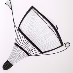 /tmp/FOOvO7ibx.jpg = a drawing of a kite flying in the air
,/tmp/FOOvO7ibx.jpg = a black and white photo of two intersecting objects
,/tmp/FOOvO7ibx.jpg = a drawing of a kite hanging from the side
,/tmp/FOOvO7ibx.jpg = a drawing of a wire sculpture with black accents
,/tmp/FOOvO7ibx.jpg = a wire drawing of a bird in flight
,/tmp/FOOvO7ibx.jpg = two abstract sculpture with a wire mesh flying in the sky
,/tmp/FOOvO7ibx.jpg = an image of a kite in the air that is designed to look like a basket
