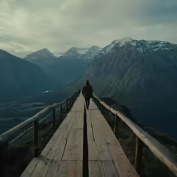 a person walking on a wooden path in the mountains
