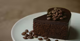 a chocolate dessert with lots of chocolate chips on top
