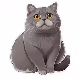 a cat with orange eyes and brown ears