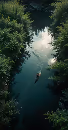 a canoe in the middle of a river
