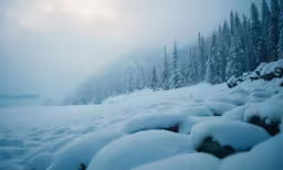 a snowy landscape with the sun poking out behind the trees