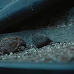 two rocks under an overpass on some gravel