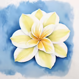 yellow and white flower in the middle of blue sky