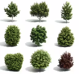 different types of green trees in six positions
