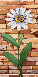 a large white flower sits on a green stem,a daisy with a stem sits against a brick wall