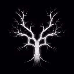 a black and white photograph of a tree