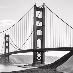 the golden gate bridge is framed by an ocean