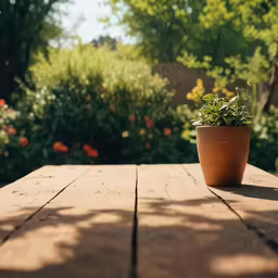 small potted plant sitting on a wooden table in front of some flowers