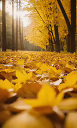 the golden autumn leaves are arranged on the ground