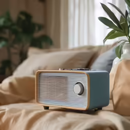 an old radio next to a large plant on a bed