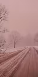 a snow covered road in the middle of a field