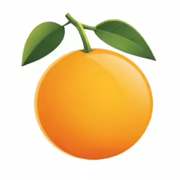 an orange is shown on a white background