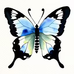 blue butterfly painted in watercolor on paper