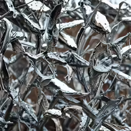 a closeup view of branches covered in snow