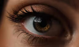 the inside of an eye with long eyelashes