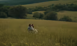 two people sitting in a field of grass on top of a hill