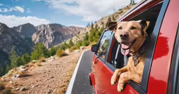 a dog sticking its head out of a car window
