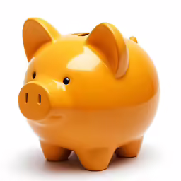 an orange pig sitting next to the bottom of its body