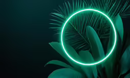 a round, neon ring over some plants and leaves