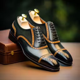 black shoe with brown laces sitting on top of luggage,the shoe on the suit case is made of leather