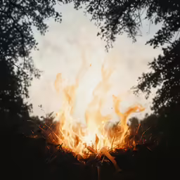 the fire is starting to get out