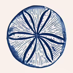 the design on this circular object has been drawn and colored