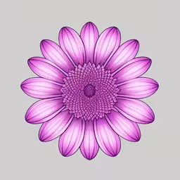 a purple flower with some white petals on top,an abstractally colored pink flower on a gray background