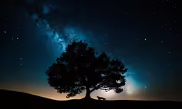 a silhouette of a man on a horse under a tree and milky