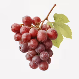 grapes are ready to be picked by the pickle