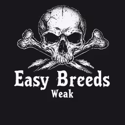 a skull and crossbones on a black shirt