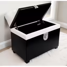 a black trunk with a white interior sits on a rug