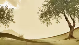 a yellow and brown photograph of two trees,two trees near a fence in a desert