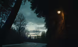 the sun shines bright as it shines through trees