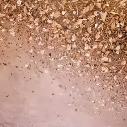 a brown wall with dust and leaves all over it