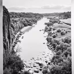 a river with rocks is surrounded by trees
