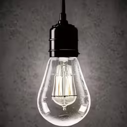 a light bulb with an electric indicator