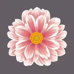a big pink and yellow flower on a gray background,the image has been altered to look like it could be blooming